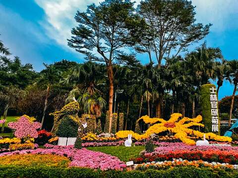 2024士林官邸菊展-以大型菊花綠雕、造型菊等布置手法，將菊花的多樣性顯露其中。