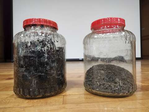 濕污泥（左）及乾燥污泥（右）比較圖(圖片來源：臺北市政府工務局衛生下水道工程處)