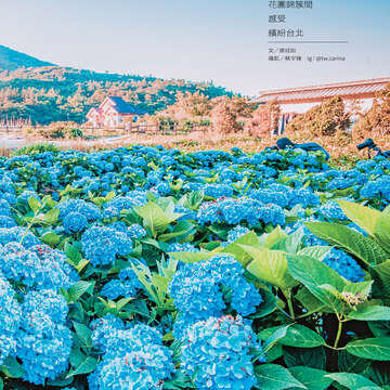 台北畫刊604期(107年5月)