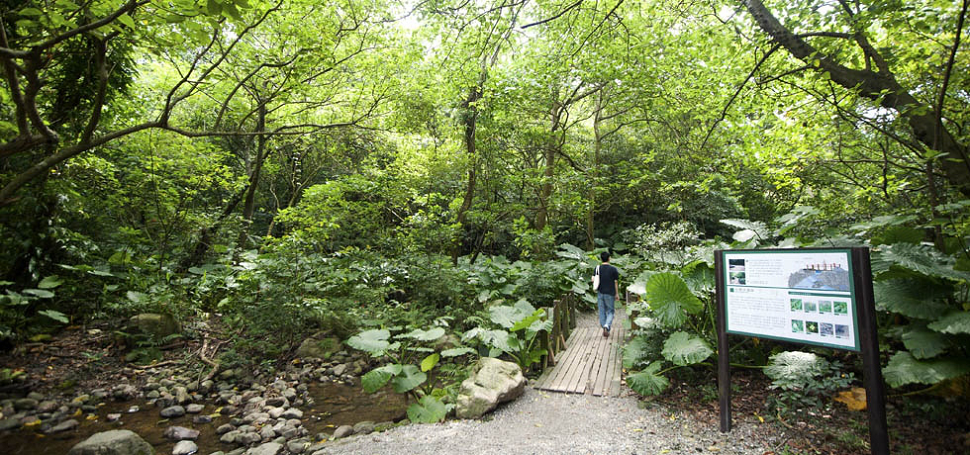 台湾景点资讯 - 富阳自然生态公园