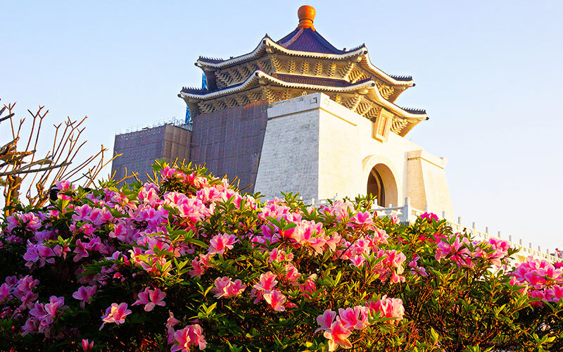 Tiết hoa Đỗ Quyên Đài Bắc