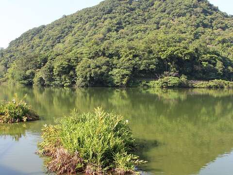 野生動物的漂浮城堡 大湖完成2座手作浮島