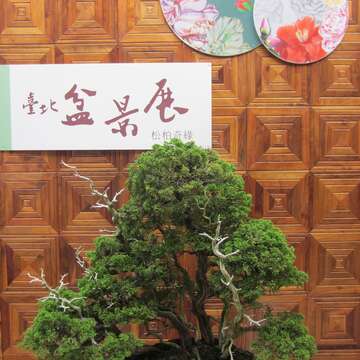 只能畫裡見! 花卉中心盆景展本周末結束 