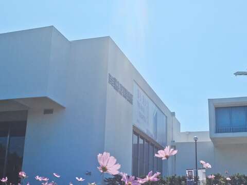 宇宙之花攻佔北美館 波斯菊花海夢幻登場