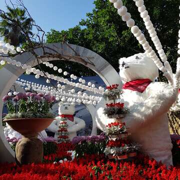 熊讚喬裝北極熊 市府松壽廣場戲雪菊