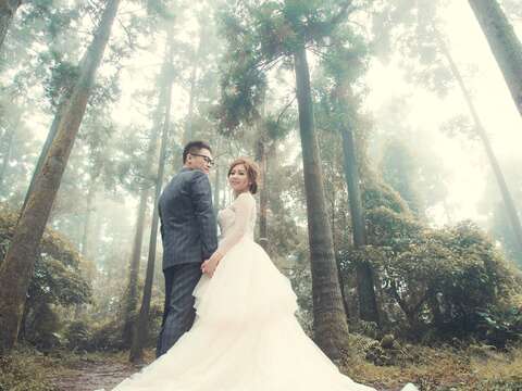 陽明山の人気結婚写真スポットを大公開