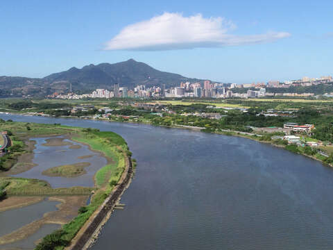 北市賞鳥秘境在這裡 超過40種鳥類看好看滿