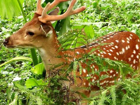 動物園大門入口改頭換面~「電子化收費系統」即將登場！