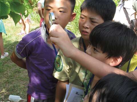 來關渡自然公園FUN暑假 濕地活動好好玩