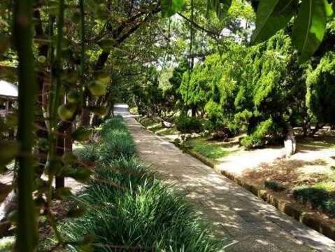 花現秘境  北市花卉中心賞花賞畫趣