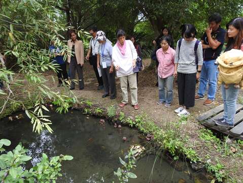 關渡國際自然藝術季開幕 邀請你11月3日嘉年華免費入園賞作品