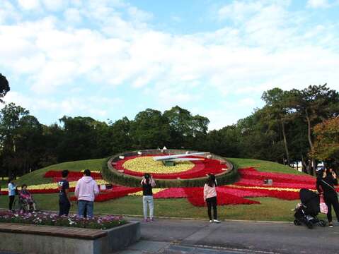 三色聖誕紅吸睛 青年公園花鐘很好拍