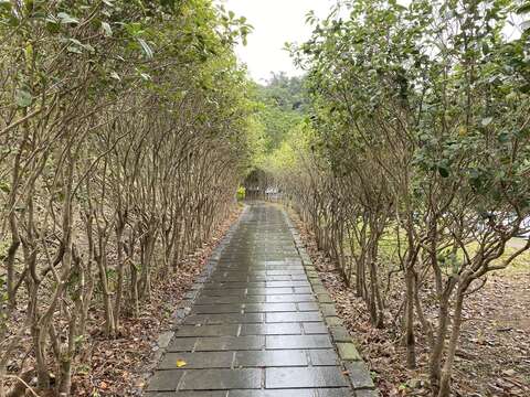 打造圓山新樣貌，生態環境再升級