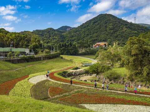 春節好去處 北市河濱花海迎接新年新氣象