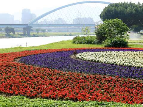 「観山河浜公園」の花畑が見頃　花見とバードウォッチングに！