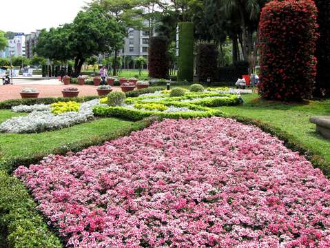 花毯綠葉最佳拍檔 春意盎然臺北城