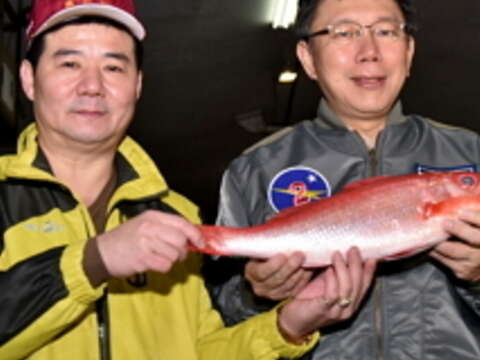 Mayor Inspects Fish, Vegetables, and Fruits Markets
