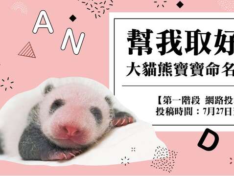 「圆仔妹」满月-帮我取好名