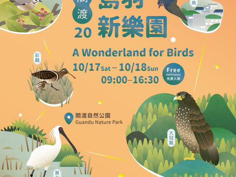 2020賞鳥博覽會「關渡20‧島羽新樂園」 整個臺北都是鳥樂園！