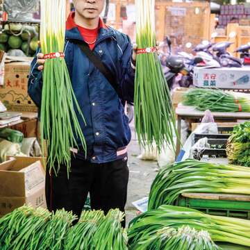 台北畫刊105年3月第577期—午夜前進萬大路果菜市場／凌晨3點好戲登場