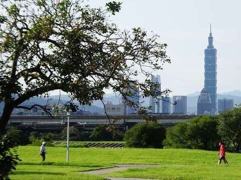 北市全新景點預告 美堤河濱公園自然親水灣即將改造 欣賞水岸美景更有FU