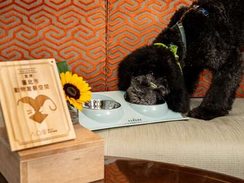 APO Organizes 2021 Taipei Animal Protection Month
