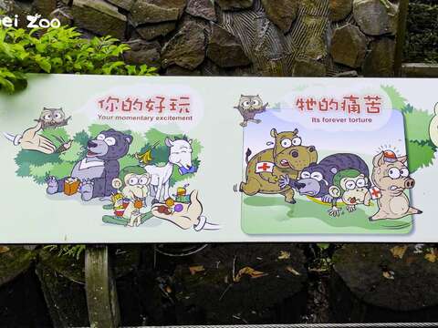走逛动物园~按呢母汤啊！