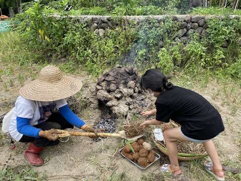 割禾後的稻田展現多元運用，臺北客家農場𤌍蕃薯與燒陶