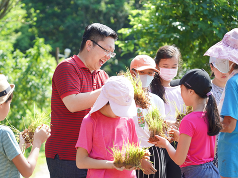 禾田裡的客家文化素養教育，臺北客家農場一期稻作蒔田