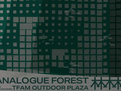 Program X-site 2024: Analogue Forest