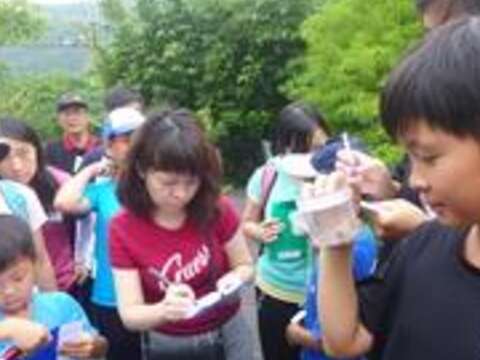 拜訪仲夏夜的內雙溪森林 聽聽大自然交響曲