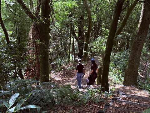 Micro-Travels to Taipei's Foothills: Enjoying the Mountain Forest and Hot Springs