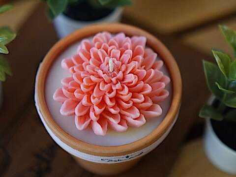 士林官邸菊展推吃喝玩乐地图 赏菊 × shopping双重乐趣！ 59间特约店家共庆花季
