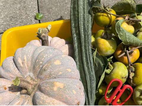 🍅亲近自然的一票！梅居带你玩农事、采蔬果、做料理