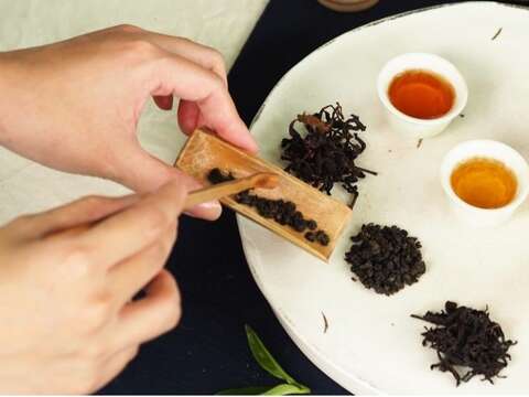 🍵鸿智茶场｜在山中探索茶的层次与香气