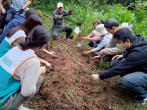 網住點點星光 榮星花園螢火蟲與您再見面