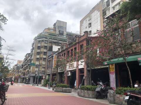 粉桃紫薇花現萬華街道 浪漫妝點浪漫ing