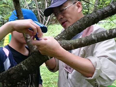 台北市内双溪小森时光  探访大仑头，认识森林碳吸存！