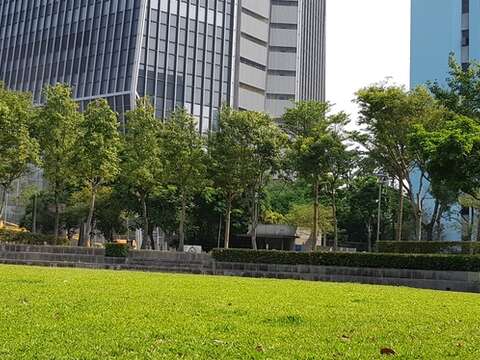 Outdoor Cinema to Take Place at Xinyi Square