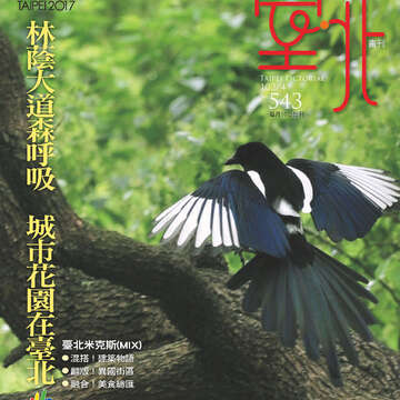 台北画刊543期(102年04月)01