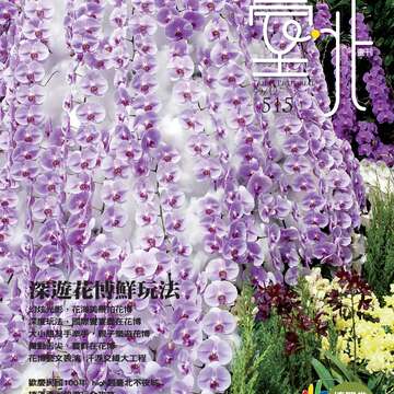 台北畫刊515期(99年12月)