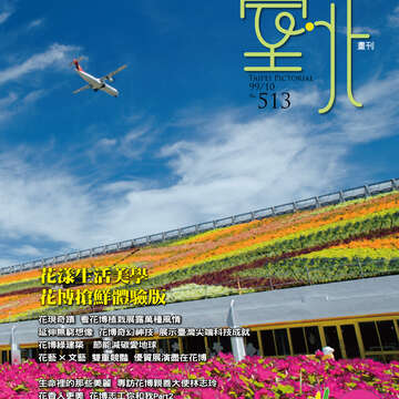 臺北畫刊513期(99年10月)