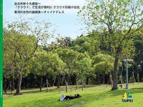 DT (JP) Vol.95 (cover)
