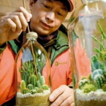 瓶栽中每一株植物都是吳俊明以細棒、小鏟耐心打造出的瓶中植物園。(許斌攝)
