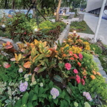 走進城市花園 繽紛美麗盡收眼底