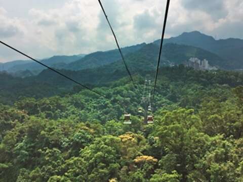 Follow Your Michelin Guide and Savor Taipei! Fun Stops Along the MRT