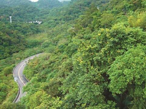 Follow Your Michelin Guide and Savor Taipei! Fun Stops Along the MRT