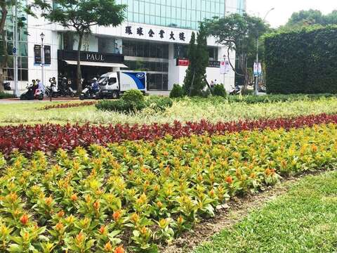 仁愛圓環草花形成波浪成為龍舟競賽場所。