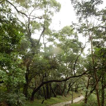 啟動夏日樂活模式 南港山親山步道齊步走！