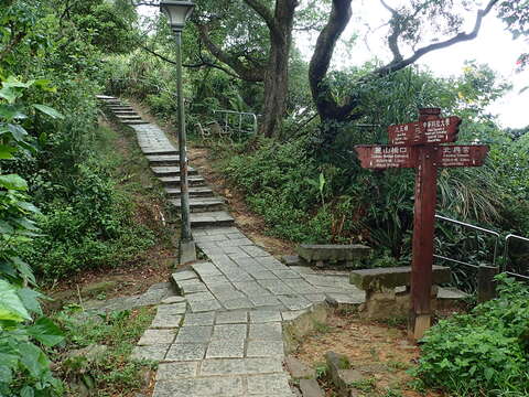 啟動夏日樂活模式 南港山親山步道齊步走！